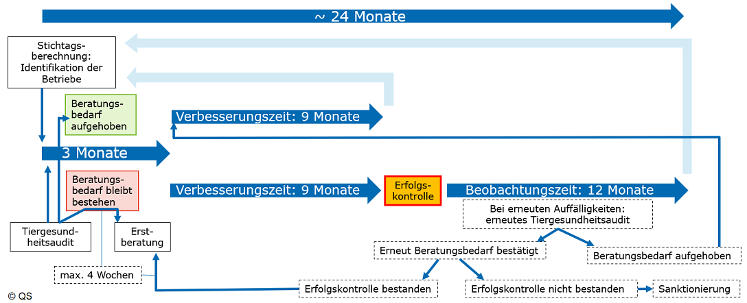 Das obenstehende Schema wurde von QS zur Verfügung gestellt und zeigt den Gesamtablauf der Tiergesundheitsberatung ©QS