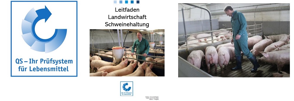 schweine.net - QS-Leitfäden: Die wichtigsten Änderungen für Schweinehalter