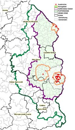 Gesamtlage in Brandenburg Stand 05.11.20 - Das festgelegte Gefährdete Gebiet betrifft die Landkreise Märkisch Oderland, Kreisfreie Stadt Frankfurt (Oder), Landkreise Spree-Neiße, Oder-Spree und Dahme-Spreewald (Quelle: MSGIV)