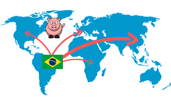 Zwei Drittel der brasilianischen Schweinexporte ging nach Asien.