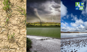 Mehrgefahrenversicher Sturm Hagel frost