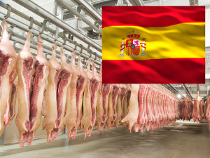 Unter den EU-Mitgliedsländern brachte Spanien im vergangenen Jahr die meisten Schweine an den Haken (Bild ©Pixabay)