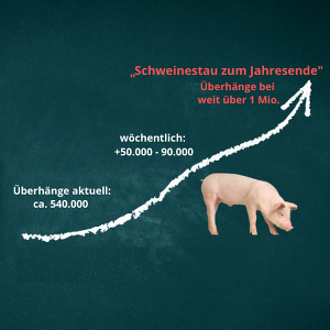 Schweinestau: Wie dramatisch sich die Situation entwickelt, sollte inzwischen jedem auf der politischen Bühne in Berlin klar geworden sein.