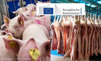 Um den Schweinehaltern aus der Verlustzone zu helfen, ist die PLH nicht das richtige Instrument (Bild ©ISN/Jaworr, Canva, European Union)