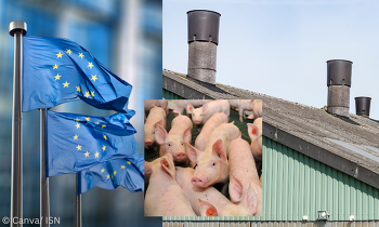 Bei der EU-Industrieemissionsrichtlinie wurde eine Einigung erzielt. ©Canva