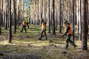 Flächendeckende Fallwildsuche in Sachsen mit Unterstützung von der Bundeswehr (Bild: © Bundeswehr/Weinrich, www.sms.sachsen.de)