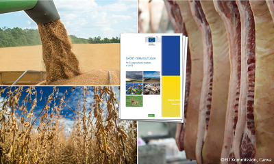 Nach der neuesten EU-Prognose dürfte die EU-Schweineproduktion in diesem Jahr zurückgehen. ©EU-Kommission, Canva
