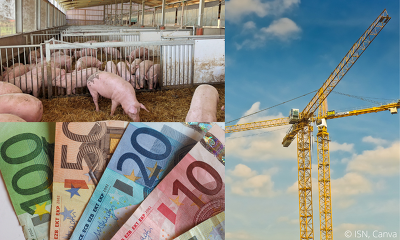 Das Bundesprogramm zum Umbau der Tierhaltung ist für die Schweinehaltung kein großer Wurf -  Die Vorgaben und Anforderungen sind so hoch, dass bisher nur wenige Förderanträge eingereicht worden sind