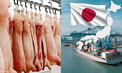 Die Europäischen Anbieter von Schweinefleisch verzeichneten gegenüber den Wettbewerbern Einbußen beim Absatz nach Japan, da sie mit der preisgünstigen Ware der Drittländer nicht mithalten können (Bild © Canva)