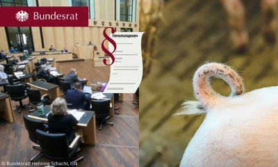 Der Bundesrat hat heute seine Empfehlungen zum Kabinettsentwurf des Tierschutzgesetz abgegeben ©Bundesrat/Henning Schacht, ISN