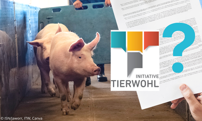 Bleiben Sie bei der Initiative Tierwohl weiter dabei? (Bild © ISN/Jaworr, ITW, Canva)