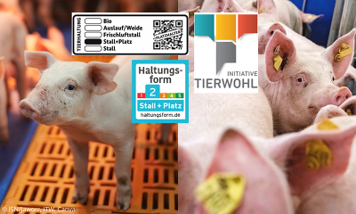 Die Revision für die neue ITW-Programmphase ab 2025 bringt deutliche Veränderungen bei den Kriterien und muss folglich auch zu deutlichen Veränderungen beim Kostenausgleich führen (©BMEL, ITW, Canva, ISN/Jaworr)