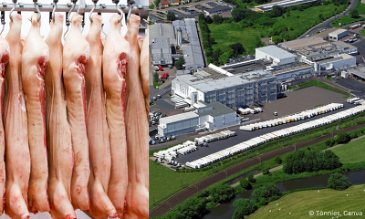 Das Tönnies-Fleischwerk in Weißenfels hat heute (10.06.24) die Produktion wieder aufgenommen ©Tönnies, Canva