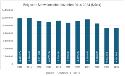 Entwicklung der belgischen Schweineschlachtzahlen 2014-2024 ©VLAM