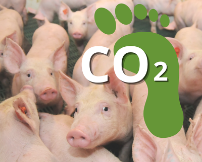 Das Thema Nachhaltigkeit und Klimaschutz nimmt auch in der Schweinehaltung immer mehr an Fahrt auf ©Canva