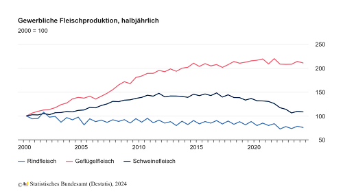 Im ersten Halbjahr 2024 wurden in Deutschland 0,4 % mehr Schweine als im Vorjahreszeitraum geschlachtet. ©Destatis