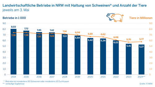Weniger Betriebe halten mehr Schweine © IT.NRW