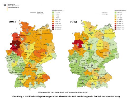 Abgabemengen von Antibiotika in der Tierhaltung - Vergleich 2011 Und 2023 ©BVL